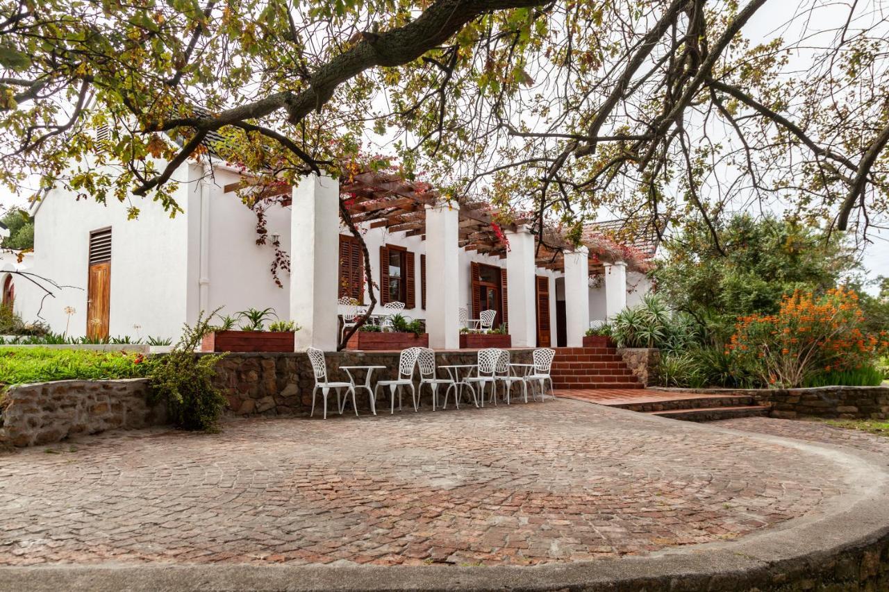 Bed and Breakfast Ayama Wine Farm - Manor House Wellington Exterior foto