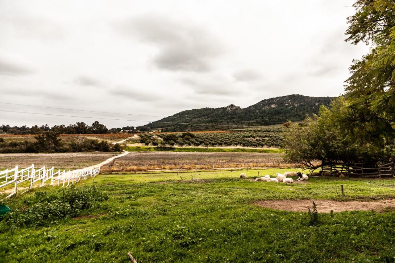 Bed and Breakfast Ayama Wine Farm - Manor House Wellington Exterior foto